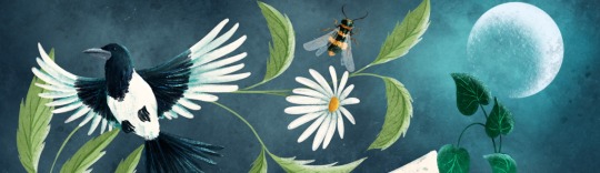 Becky Thorns Faber News Feature Image