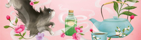 Carrie May Feature Image from The Teller of Small Fortunes illustrated book cover,