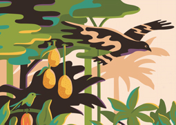 Anna Broadhurst's illustrations for Hotel Chocolat.