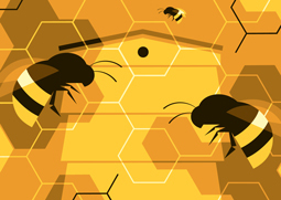 Illustrator Julia Allum's illustrations for Harvard Business Review