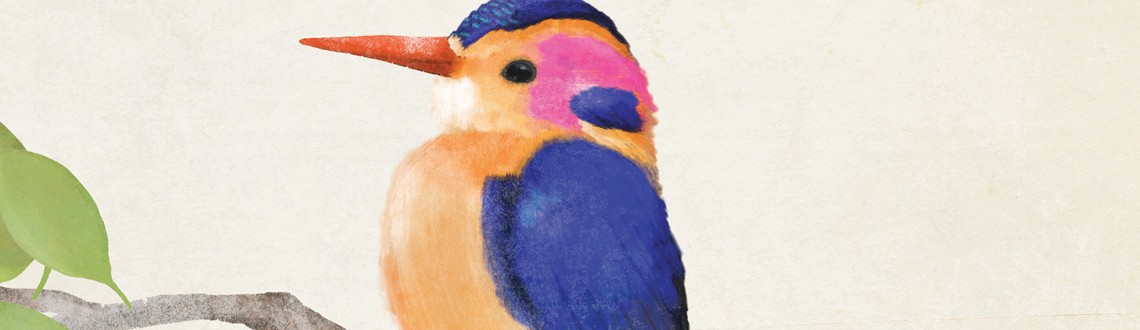Carrie May Lagom News Feature Image Carrie May Lagom News Feature Image
