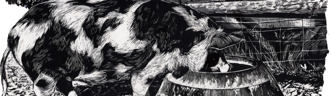 Jerry Hoare Portfolio Update News Feature Image Jerry Hoare Portfolio Update News Feature Image