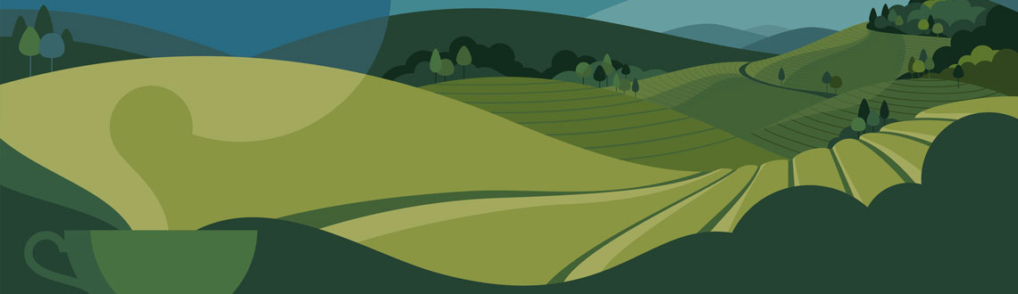 Illustrator Julia Allum The World Tea Encyclopaedia Book Cover The World Tea Encyclopaedia book cover illustrated by Julia Allum.