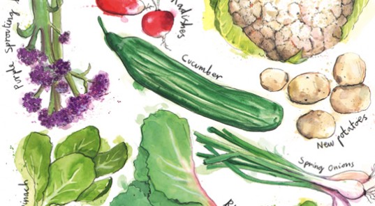 Hannah George Hero Image represented by Meiklejohn Illustration