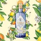 Hannah George Citadelle Gin News Item MJN