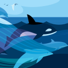 Illustrator Julia Allum's illustrations for Harvard Business Review
